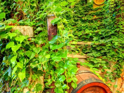 Vinný sklep U Hroznů Mikulov