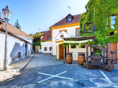 Vinařství a vinný sklep v Mikulově