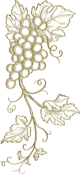 Vinařstv&iacute; Mikulov